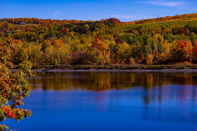 Scenic view of lake by trees during autumn