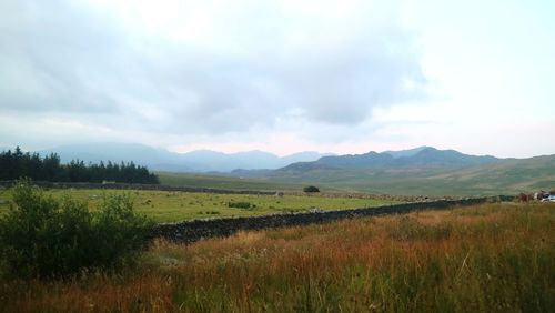 Scenic view of field against sky