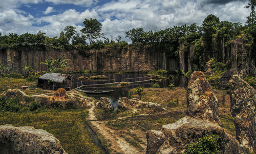 View of trees on landscape against cloudy sky