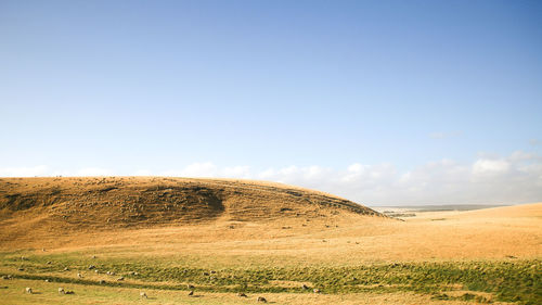 Scenic view of field against blue sky