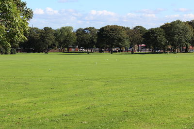 View of soccer field
