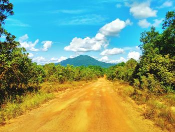 Dirt road amidst plants and trees against sky