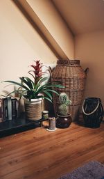 Potted plants on table at home