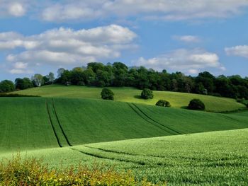 Scenic view of farm against sky