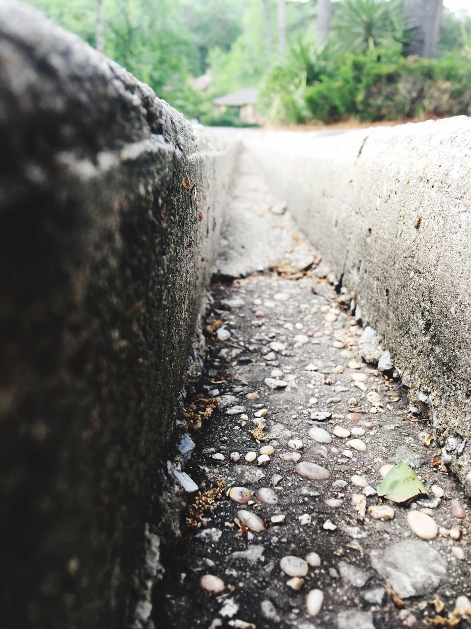 no people, day, retaining wall, close-up, outdoors, nature