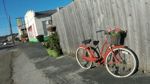 View of parked plants