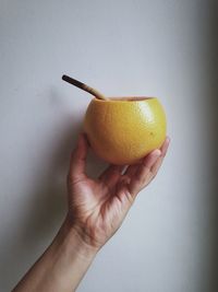 Close-up of hand holding apple