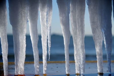 Close-up of icicles on beach against sky
