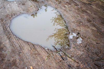 High angle view of puddle on rock