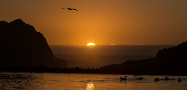 Birds at beach against sky during sunset