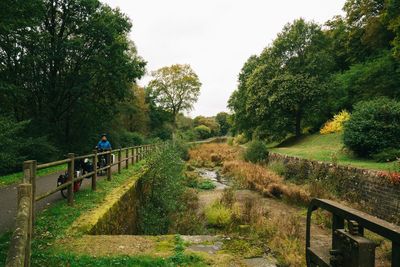 People on bicycle by trees against sky