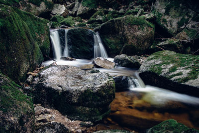 View of waterfall in forest