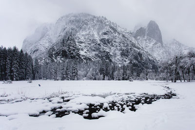 Snow covered land and trees against mountain