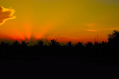 Silhouette trees against sky during sunset