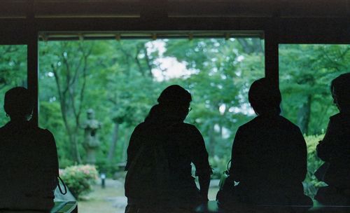 Rear view of silhouette people standing against glass