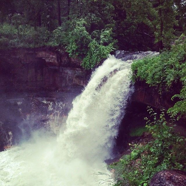 water, waterfall, motion, flowing water, long exposure, flowing, beauty in nature, rock - object, forest, scenics, nature, tree, surf, blurred motion, power in nature, splashing, stream, rock formation, river, idyllic