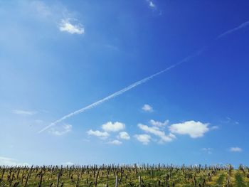 Low angle view of vapor trails in sky