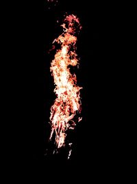 Low angle view of firework display at night