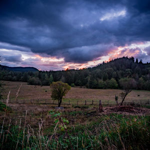 Scenic view of field against sky during sunset