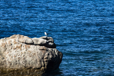 View of rock formation in sea