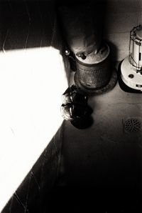 Low section of man wearing shoes at home