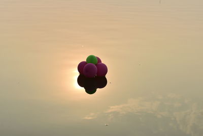 Multi colored balloons against sky during sunset