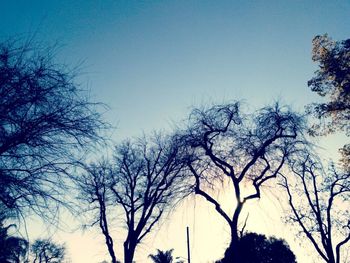 Low angle view of bare trees against clear blue sky