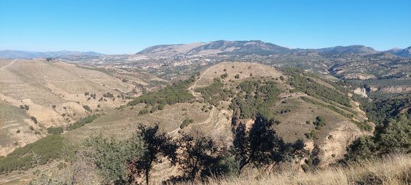 landscape