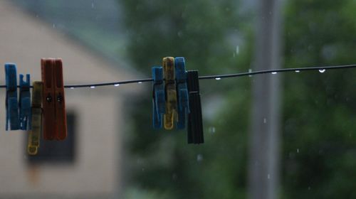 Close-up of water drops on clothesline