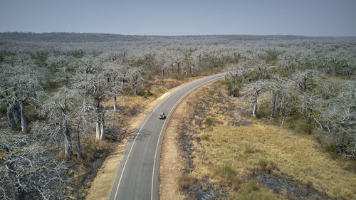 Aerial view of a jeep on a road surrounded by baobab trees, cabo ledo area, angola