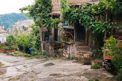 Old ruin of building