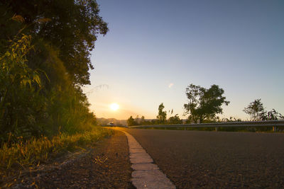 Empty road along trees at sunset