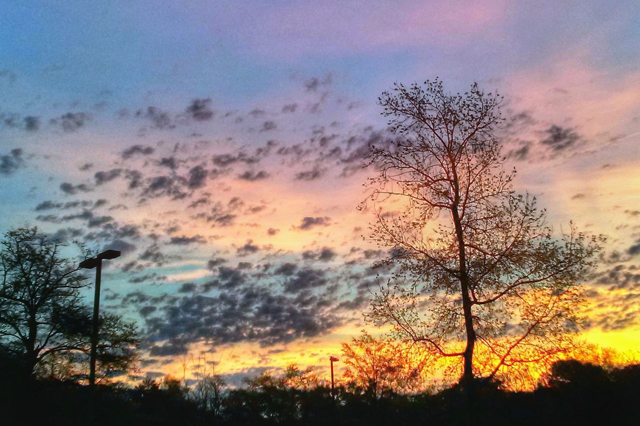 sunset, silhouette, tree, sky, beauty in nature, scenics, cloud - sky, orange color, tranquility, tranquil scene, dramatic sky, nature, idyllic, cloudy, low angle view, bare tree, cloud, branch, growth, moody sky