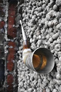 Close-up of snail on wall