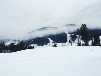 Snow covered land and trees against sky