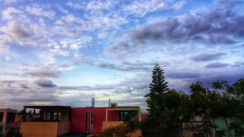 Trees against sky