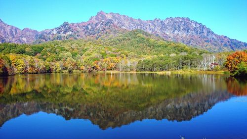 Reflection of trees in calm lake