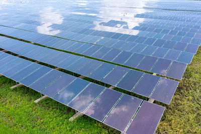 Aerial view of solar panels or solar cells on the roof in farm. power plant with green field, 