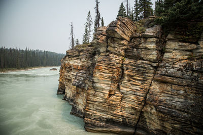 Stack of tree in winter