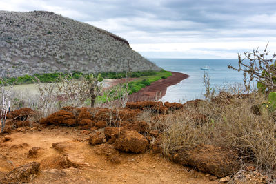 Scenic view of isabela island