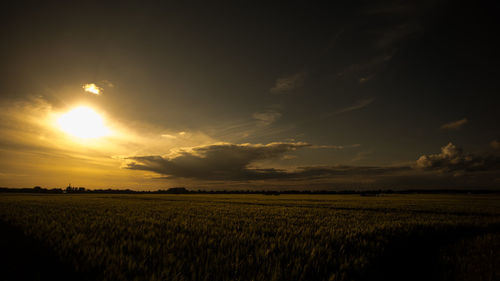 Scenic view of agricultural field against sky during sunset