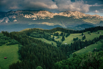 Green landscape 