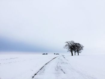 Trees on snow covered beach against sky