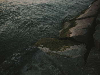 Close-up of rock formation in sea