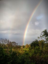 Scenic view of rainbow over trees against sky