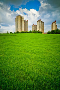 Grassy field by buildings against sky