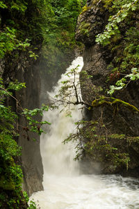 Scenic view of waterfall in forest