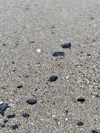 High angle view of pebbles on sand