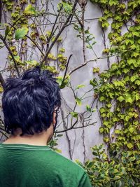 Rear view of man against lime tree and ivy covered wall.