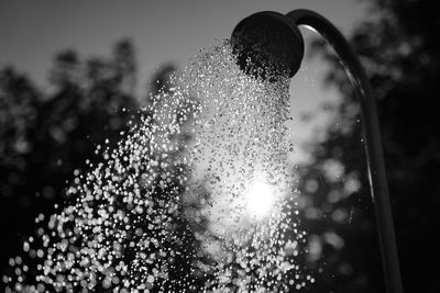 Close-up of plant against blurred background